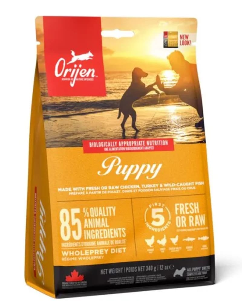 オリジン パピー