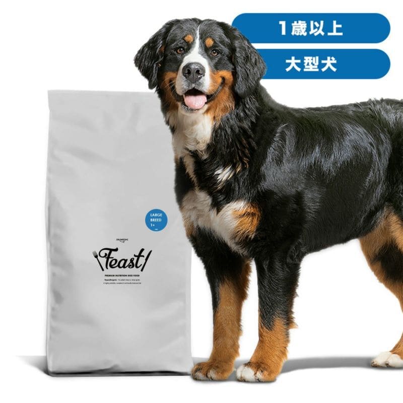 INUMESHI フィースト 1歳以上 大型犬用15kg ブリーダーパック