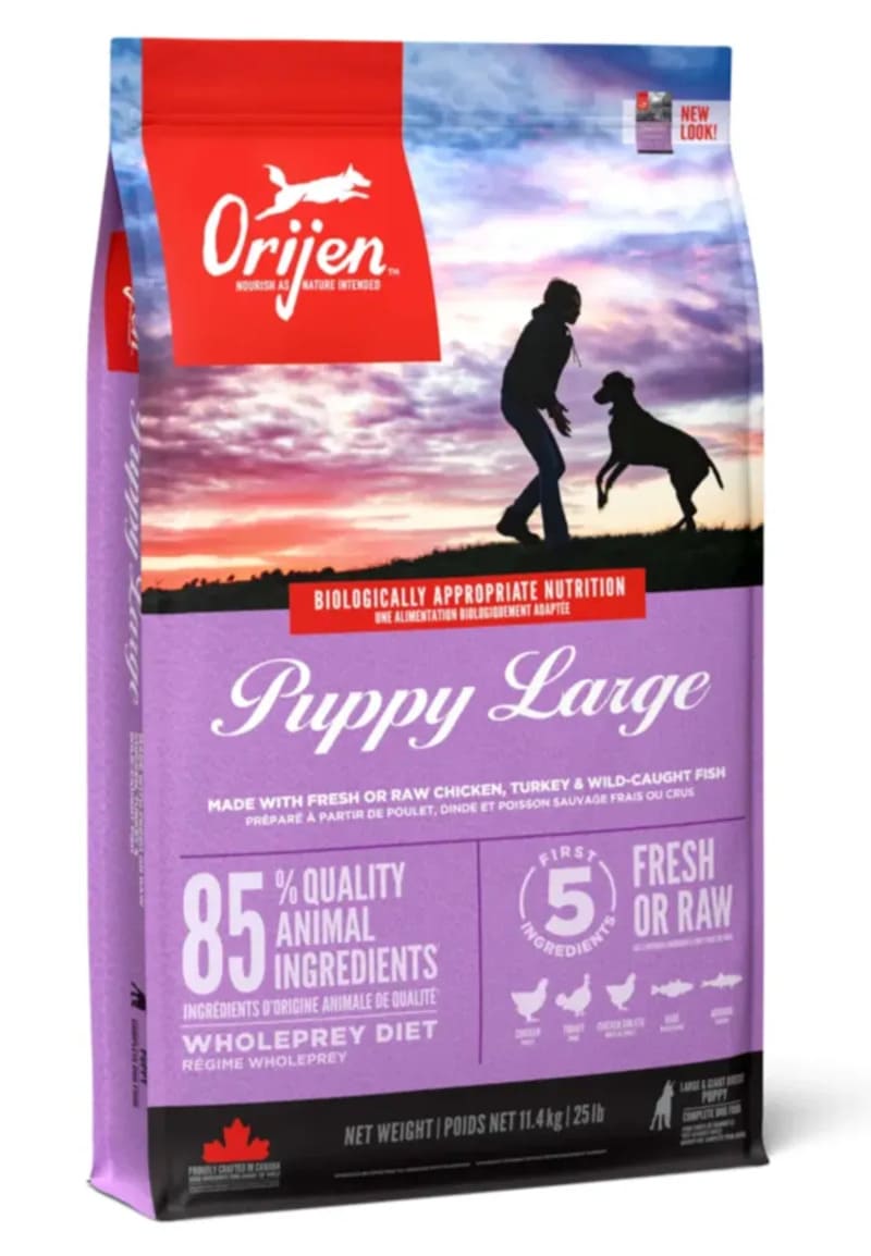 オリジン パピー ラージ