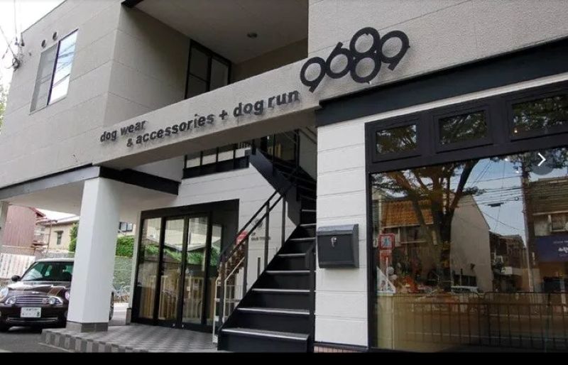 Dog Life Support 9689（クロパグ）