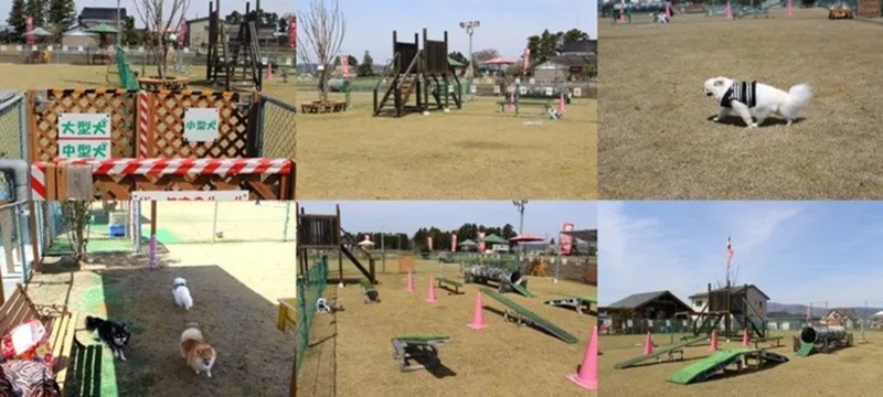 【富山県南砺市】DOGPark福光
