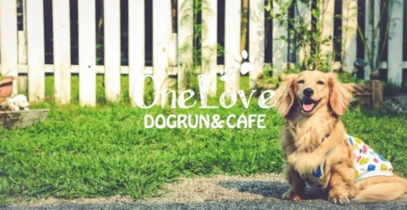 【栃木県下都賀群】OneLove（ワンラブ）DOGRUN＆CAFE