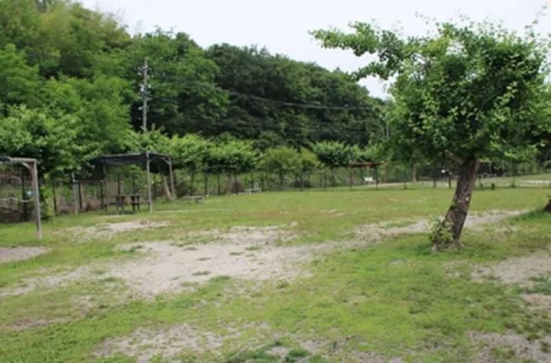 【愛知県長久手市】Dog with（ドッグウィズ）