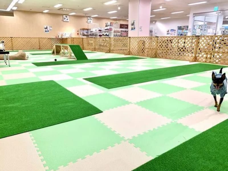 【愛知県春日井市】ハッピー譲渡会