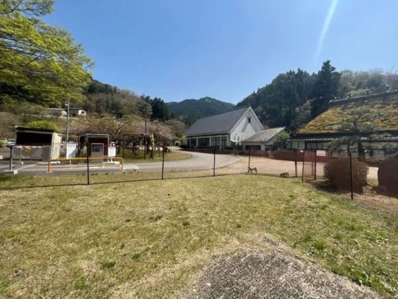 【愛知県豊田市】香嵐渓一の谷