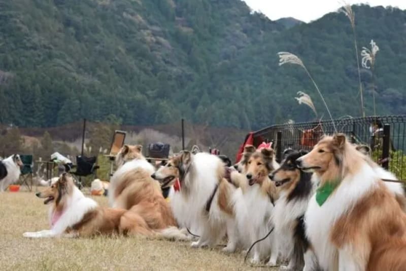 【愛知県新城市】 サーブアイランド