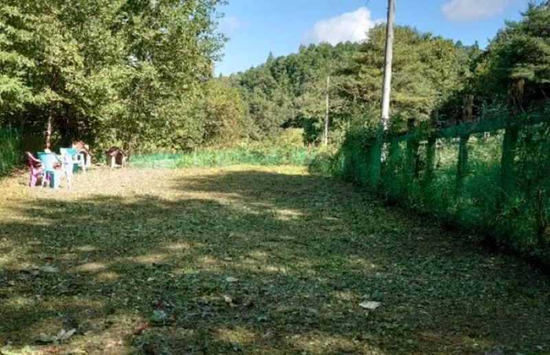 ann'sドッグラン