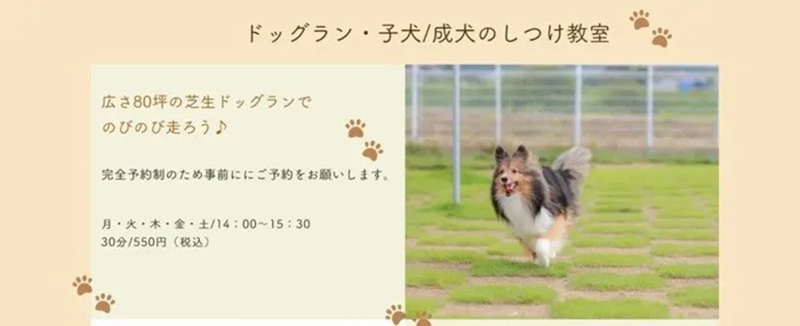 【富山県富山市】あらい犬猫病院 ドッグラン