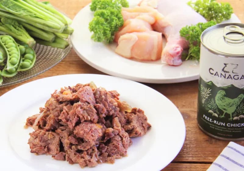 カナガンドッグフード チキンウェットタイプ