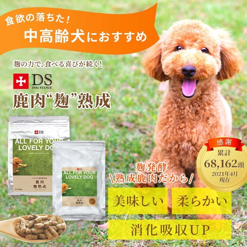 ドッグスタンス 麹熟成