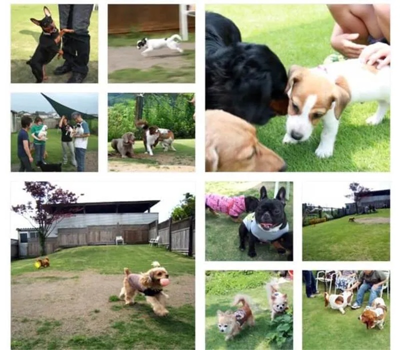 【富山県富山市】庭工房 絵草