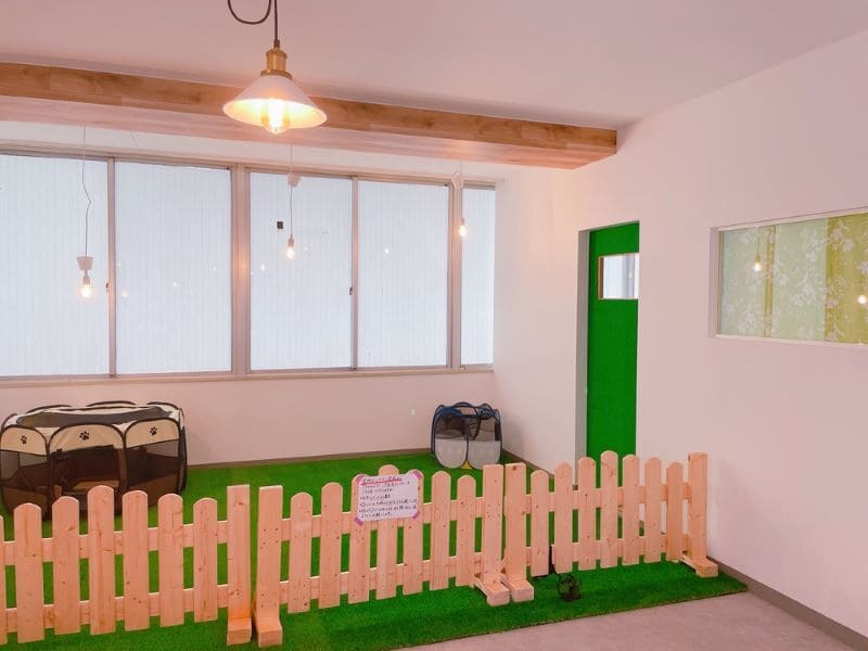 【福岡県久留米市】 ドッグカフェ・リリーキッチン