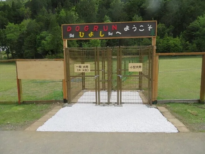 ハピロー!の森京都（京都府立府民の森ひよし）ドッグラン