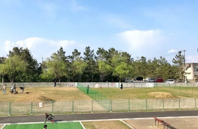 【富山県射水市】足洗潟公園 ドッグラン