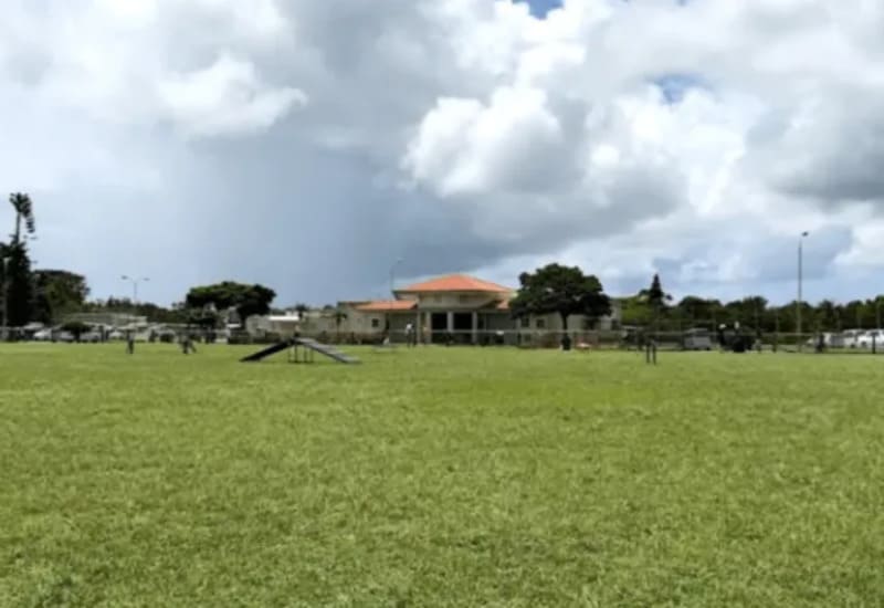 【沖縄県沖縄市】Chibana Dog Park（ちばなドッグパーク）