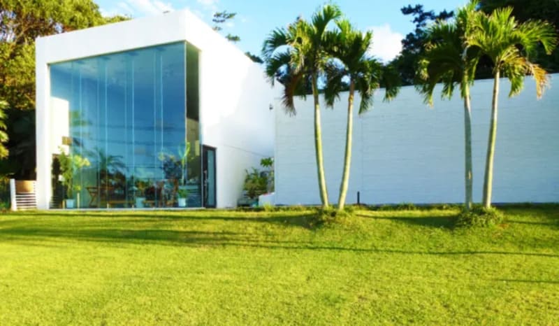 【沖縄県国頭郡】犬走る茶屋