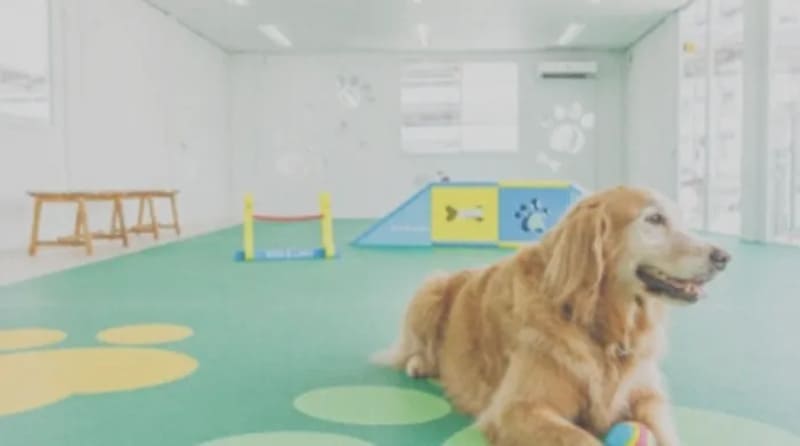 【沖縄県島尻郡】Wan.Brella（ワン・ブレラ）