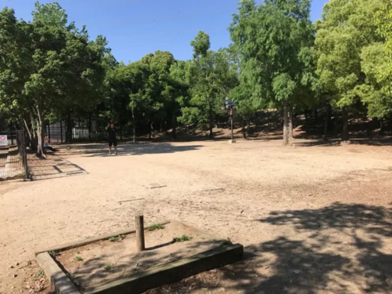 【大阪府東大市】深北緑地ドッグラン