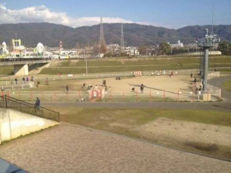 【大阪府東大阪市】花園中央公園ドッグラン