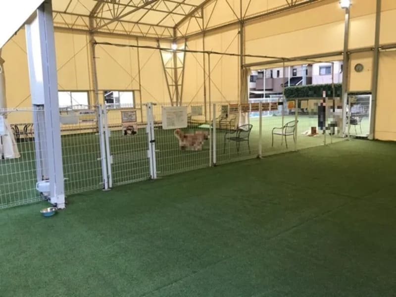 【大阪府堺市】ペットランドミクニ大阪泉ヶ丘店