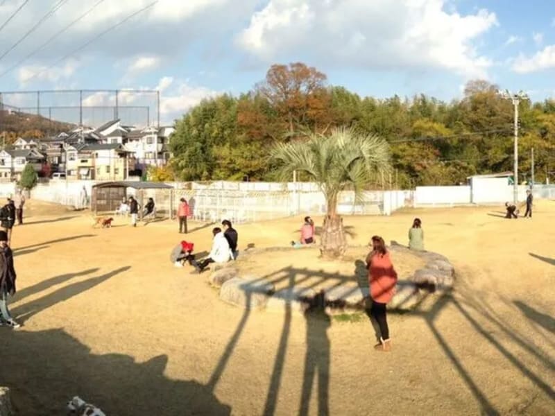 【大阪府茨木市】ぷらすわん