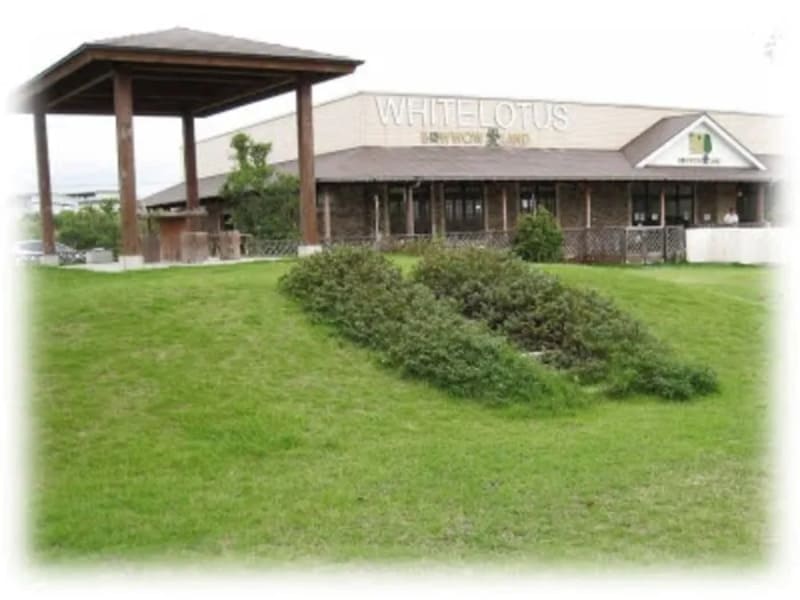 【大阪府泉南市】WHITE LOTUS（ホワイトロータス）