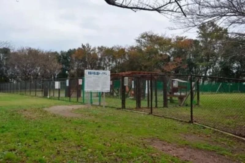 【千葉市中央区】青葉の森公園