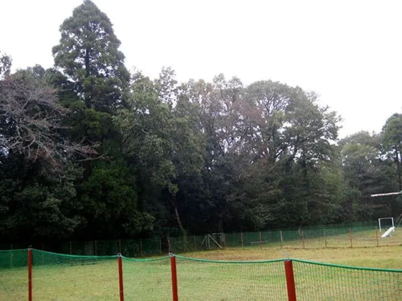 【千葉市緑区】ドッグランパーク Big Fat Dog