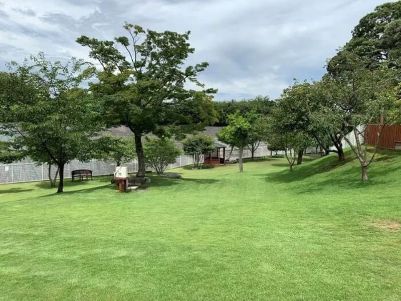 【千葉県佐倉市】ドッグガーデンユーカリ