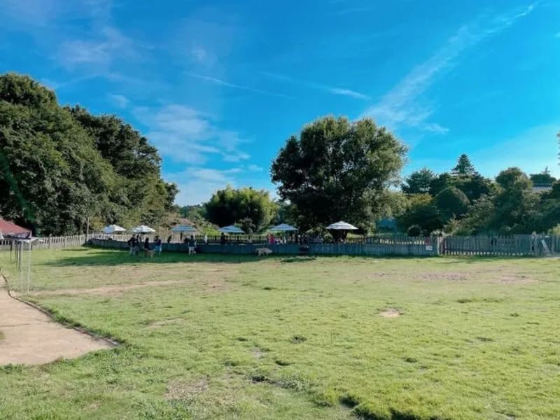 【千葉県野田市】ランバードッグフィールド