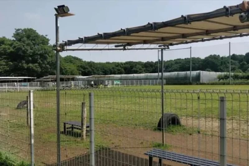 【千葉県松戸市】新京成ドッグラン松戸