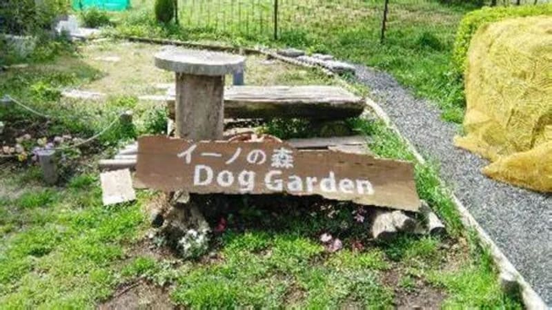 【東京都江東区】イーノの森DogGarden