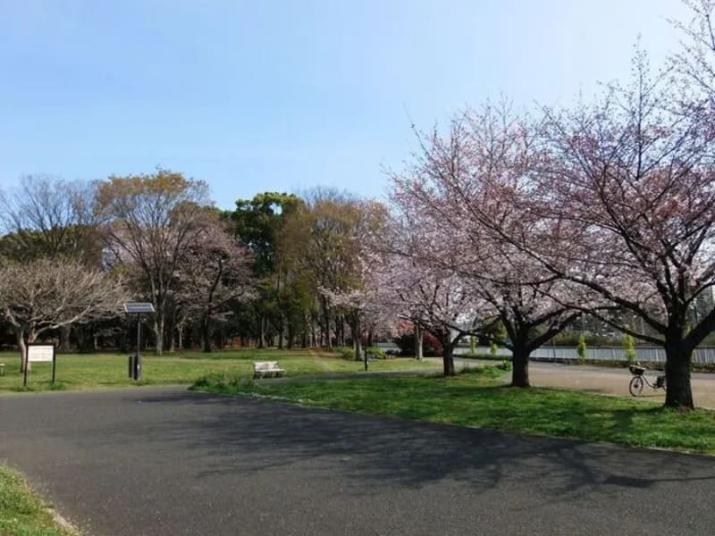 【東京都板橋区】城北中央公園ドッグラン