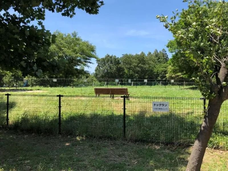 【東京都葛飾区】水元公園ドッグラン