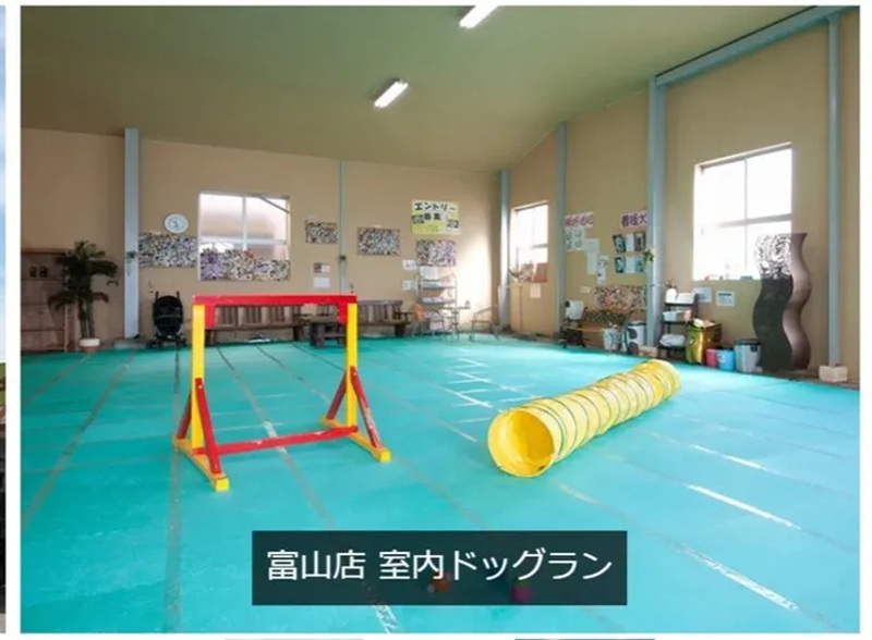 【富山県富山市】ワイズドギー 富山店 室内ドッグラン