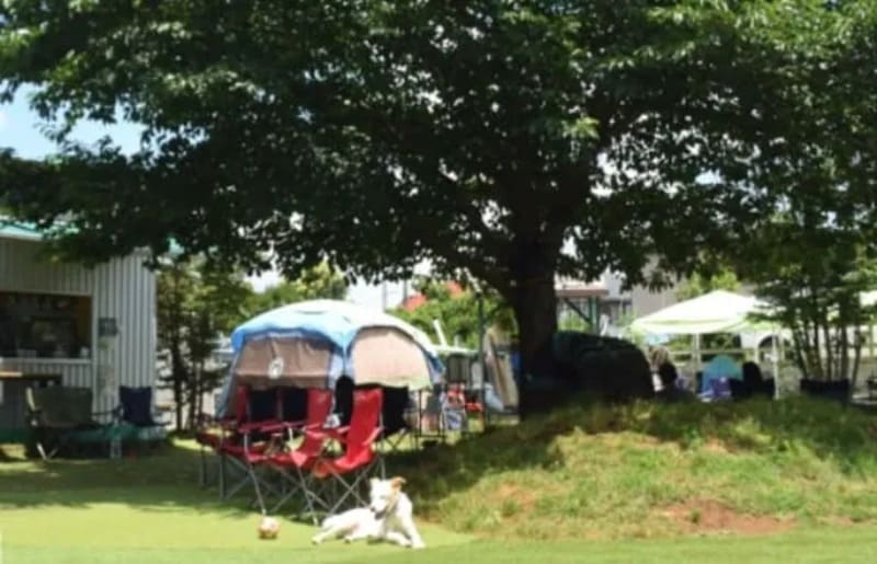 【横浜市都筑区】sippopo Dogrun（しっぽ舗ドッグラン）