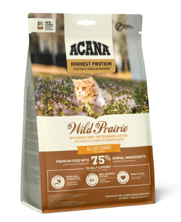 アカナワイルドキャット