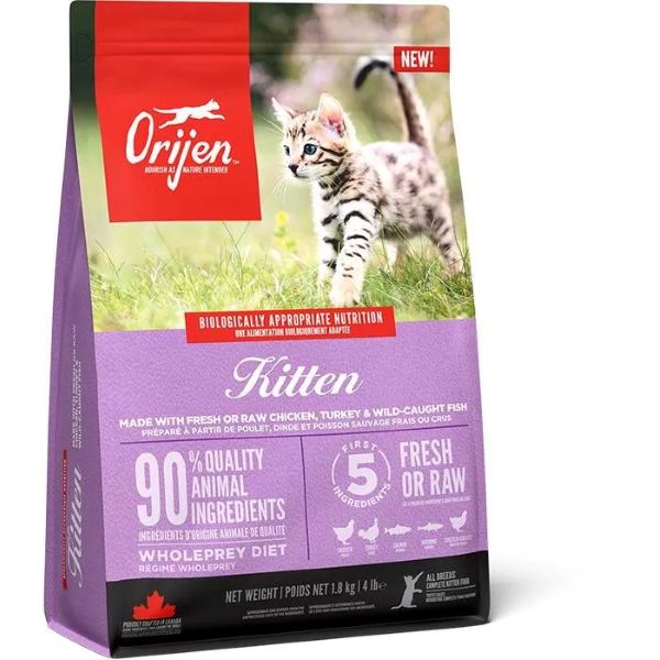 オリジン キャット キトゥン