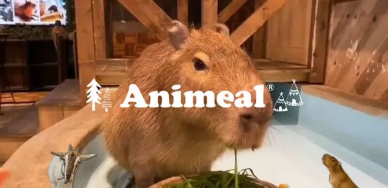 動物たちが暮らす森のカフェ アニミル 心斎橋店（大阪市中央区）