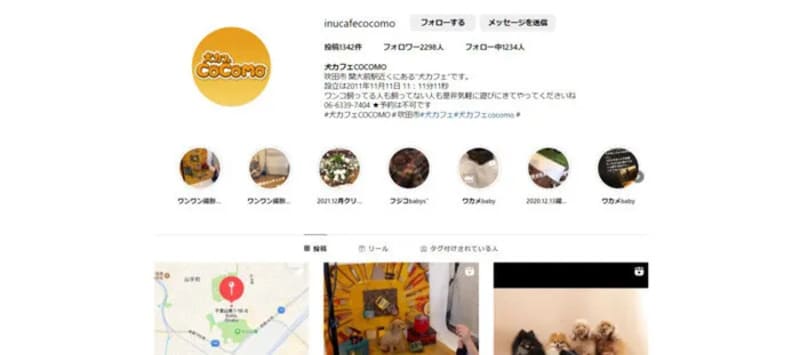 犬カフェ COCOMO（吹田市）