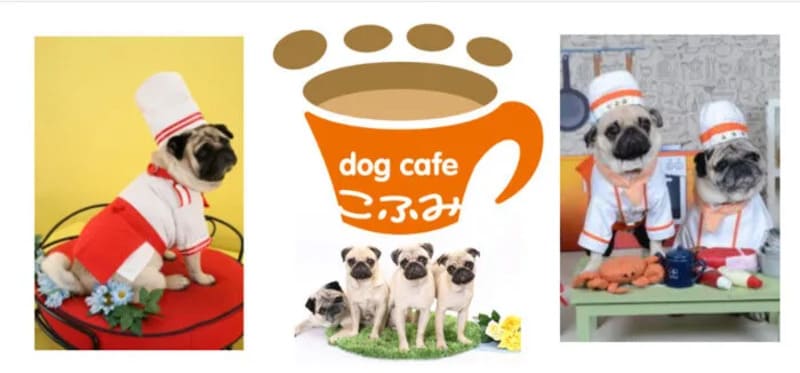 ドッグカフェこふみ（大阪市生野区）