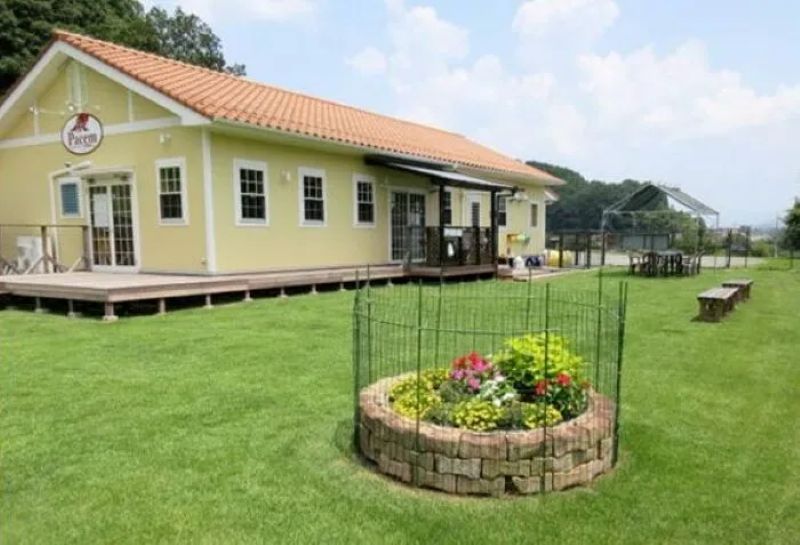 ドッグカフェPacem（パーチェム）