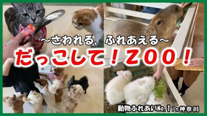 だっこして！ZOO！