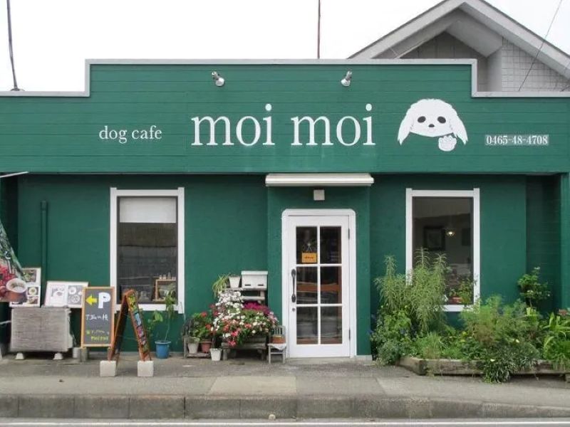 dog cafe moimoi