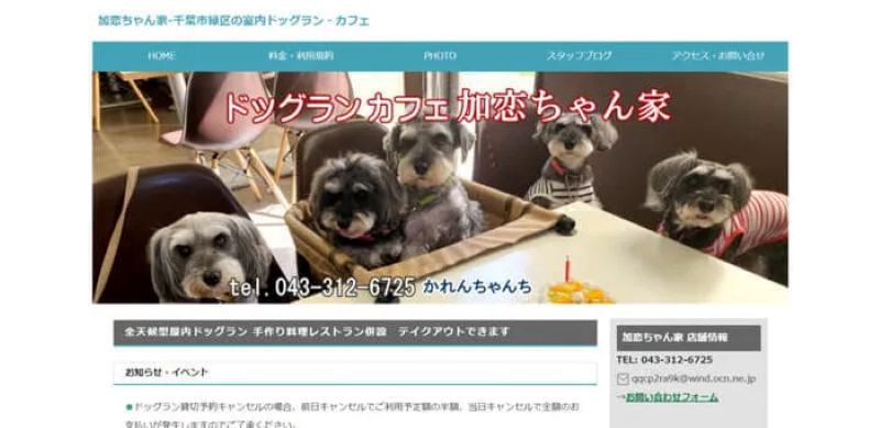ドッグランカフェ 加恋ちゃん家