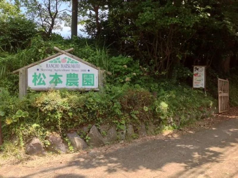 松本農園