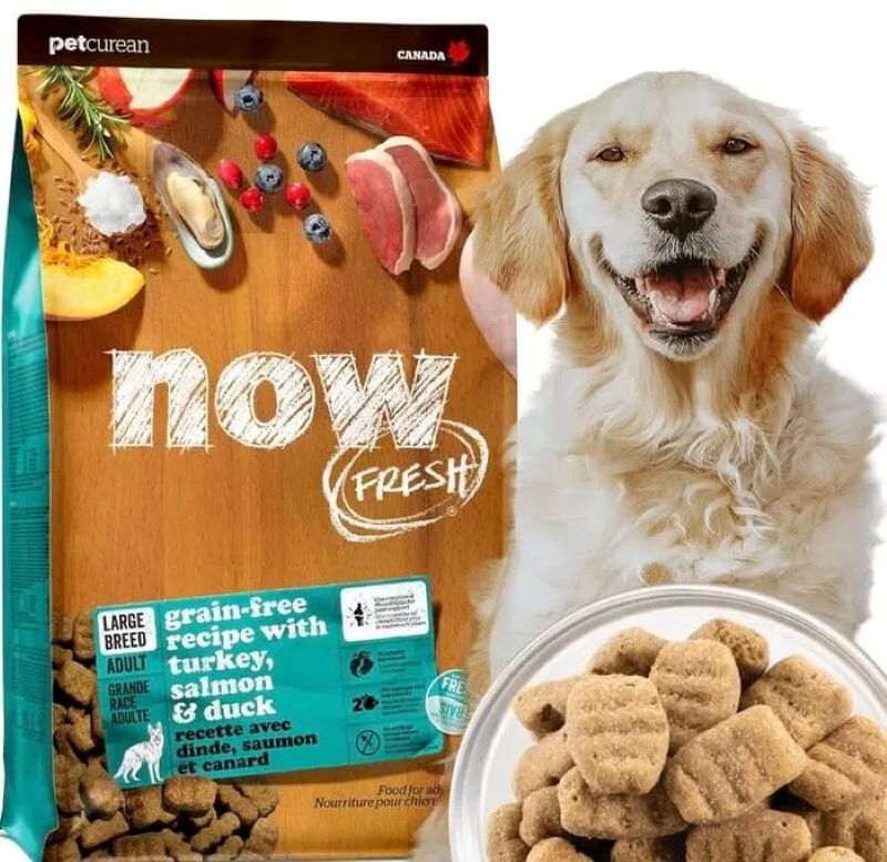 ナウフレッシュ ラージブリードアダルト