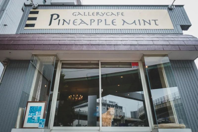 パイナップルミント