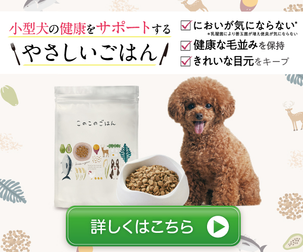 このこのごはん　ドッグフード