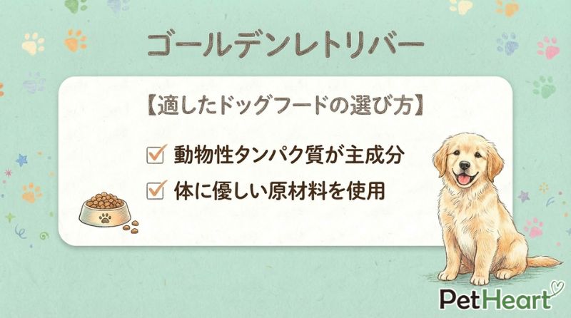 ゴールデンレトリバーに適したドッグフードの選び